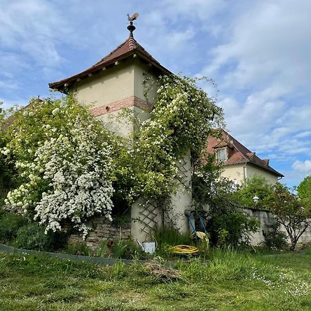 La Maison Du Parc Saint-Raphaël Екстериор снимка