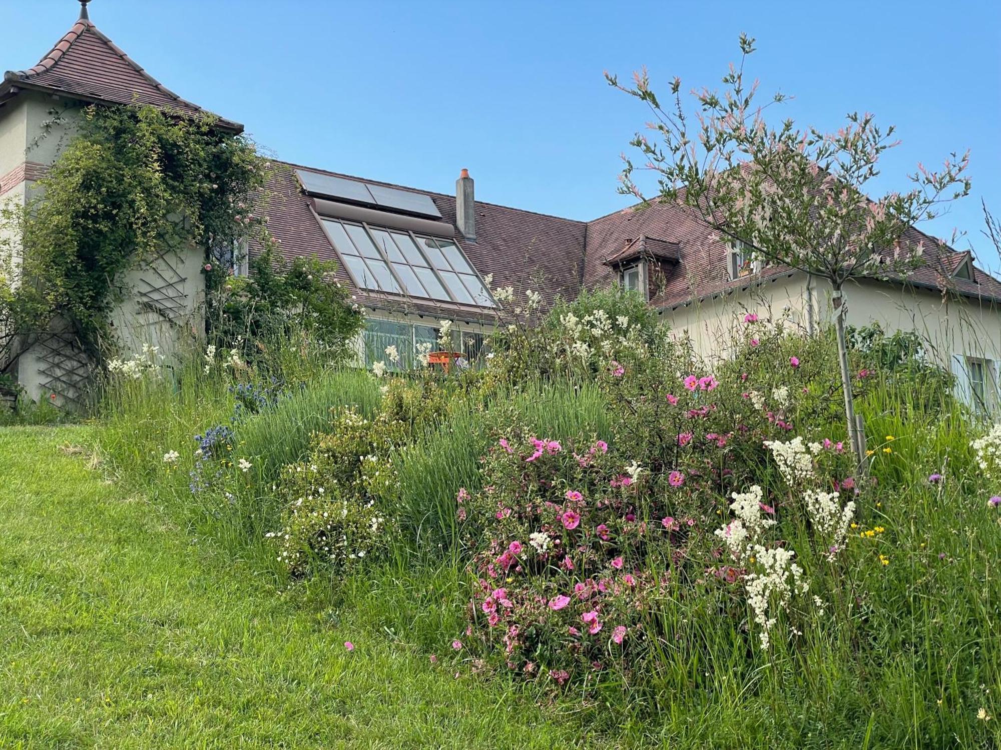 La Maison Du Parc Saint-Raphaël Екстериор снимка